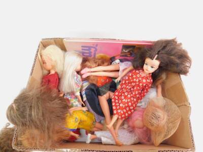 A collection of Sindy Dolls, all with clothes. (qty) - 2