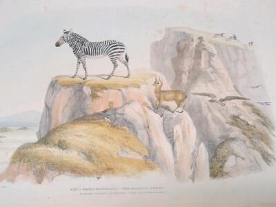 Harris (Captain W Cornwallis). Portraits of the Game and Wild Animals of Southern Africa - 3