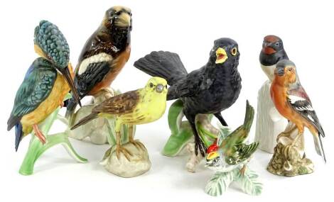 A collection of ceramic birds, mainly Goebel, to include Kingfisher, Blackbird, Finch etc.