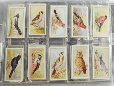 Various cigarette cards etc., Benson's, Old Bristol Series, Raydex, Tyneal Plug, various other trade cards, Player and Sons Wild Birds etc., other full and part sets etc. (1 album) - 3