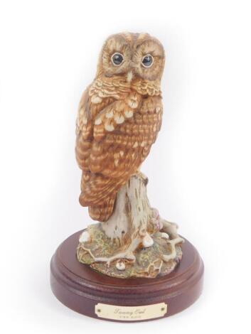 A Royal Doulton figure modelled as a tawny owl, limited edition 81/2500, signed, DA156, on a wooden stand.