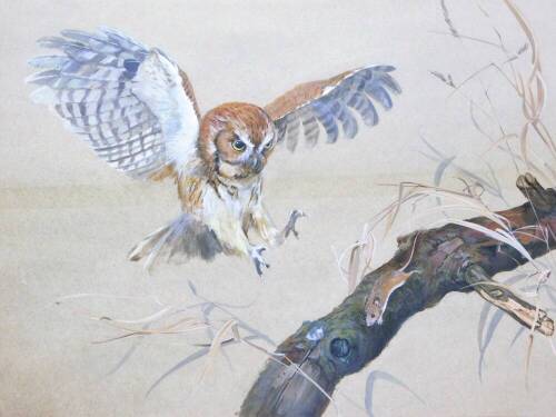 Richard Britton (20thC). Owl catching mouse on a tree bough, watercolour, signed, 43cm x 68cm.