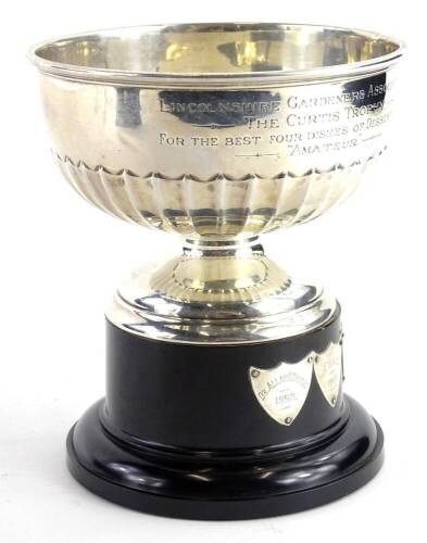 A George V silver trophy, with part fluted decoration engraved Lincolnshire Gardeners Association, the Curtis trophy for the best four dishes of dessert apples (amateur) Sheffield 1920, with iron screw threat attached, 7½oz gross, on a black Bakelite base