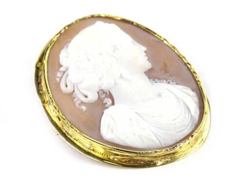 A shell cameo brooch, of oval form depicting maiden head and shoulders profile, raised in white, in a yellow metal oval frame, unmarked, 4cm x 5cm, 11g all in.