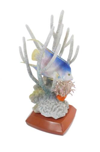 A Royal Worcester porcelain figure modelled as a Blue Angel fish, by R Van Ruyckevelt, limited edition no 147, on stand, 31.5cm H.