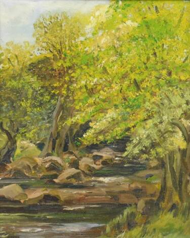 Susan Coleing (British, 20thC). Riverbank Sesgill, oil on canvas, signed and titled verso, dated 1973, 29.5cm H, 24cm W.