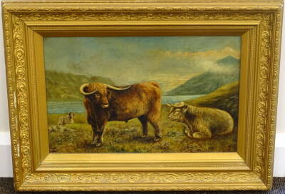 D. McLeod (19thC). Highland cattle, oil on canvas, signed and dated 1889, 29cm x 44cm. - 2