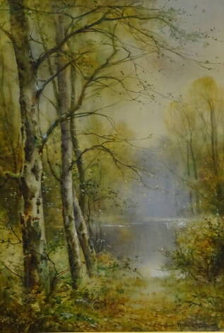 Thomas Taylor Ireland (act. 1880-1927). River landscape with swans and silver birch, watercolour, signed, 52cm x 34cm.