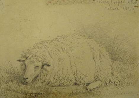 Thomas Sidney Cooper RA (1803-1902). A sheep lying down, pencil, 9cm x 13cm, signed and dated 1849. Provenance: Sotheby's Sussex, 9 August 1994, lot 1426 (3 in 1 mount). K.J.Westwood describes as a finely executed pencil sketch of a sheep, with faint out