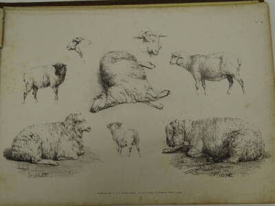 Thomas Sidney Cooper RA (1803-1902). Studies of Cattle Part 1, a gilt cloth portfolio of thirty two lithographs published by S&J Fuller, 34, Rathbone Place, c.1835/36. Provenance: Goodacre Collection No 427. - 5