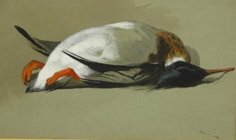 Archibald Thorburn (1860-1935). Drake red breasted merganse, watercolour, dated Feb 1 1890, 22cm x 36cm. Label verso David McDonald Booth.