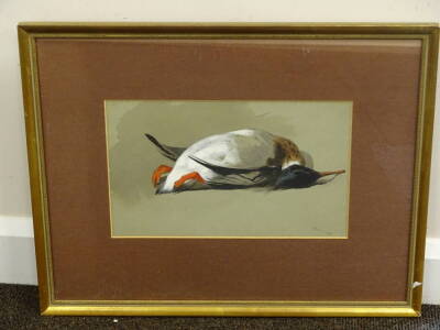 Archibald Thorburn (1860-1935). Drake red breasted merganse, watercolour, dated Feb 1 1890, 22cm x 36cm. Label verso David McDonald Booth. - 2