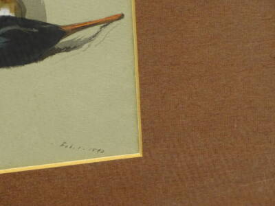 Archibald Thorburn (1860-1935). Drake red breasted merganse, watercolour, dated Feb 1 1890, 22cm x 36cm. Label verso David McDonald Booth. - 3