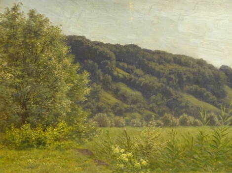 Heinrich Nagleli (1841-1936). Mannenbach am Bodensee, oil on board, signed and titled verso, 27.5cm x 36cm.