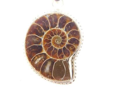 A silver and polished ammonite pendant, on chain. - 3