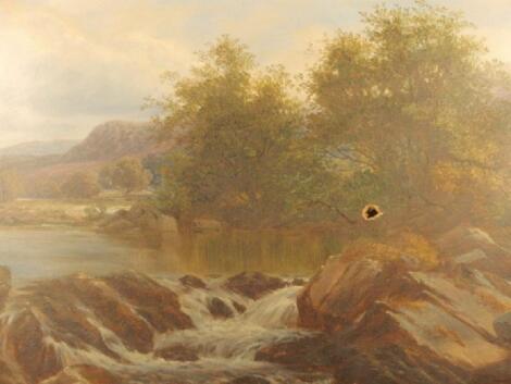 T Thomas. Summer river landscape