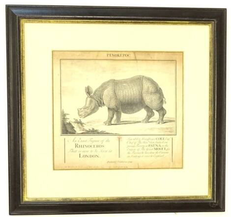 An 18thC print of an early rhinoceros, published 1739, 29cm x 32cm.