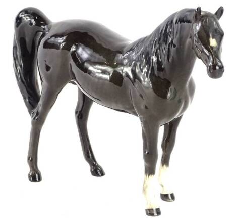 A Beswick Xayal Arab horse, grey coloured.