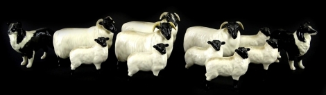 Two Beswick sheepdogs or collies and various Beswick sheep.