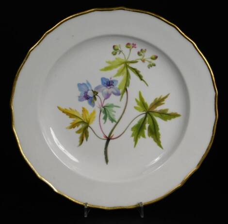 A Derby porcelain botanic plate, c1780, painted with a botanical specimen Cranes Bill and pattern no. 197, Delft blue mark cross baton and D Mark, 25cm Dia.