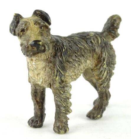 An early 20thC cold painted bronze figure of a terrier, in the manner of Bergman, 8cm L.