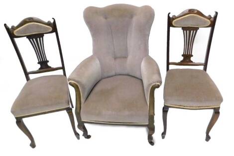 An Edwardian stained beech button back armchair, on cabriole legs, with ceramic castors, and two side chairs.