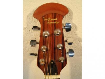 A Tanglewood Autumn Leaf semi acoustic guitar - 2