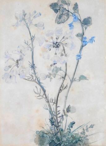 Attributed to Ellen Churchyard (1826-1909). Still life flowers, watercolour, unsigned, labelled to the back, 8cm x 14cm.