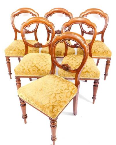 A set of six Victorian mahogany balloon back dining chairs, with over stuffed seats and turned legs.