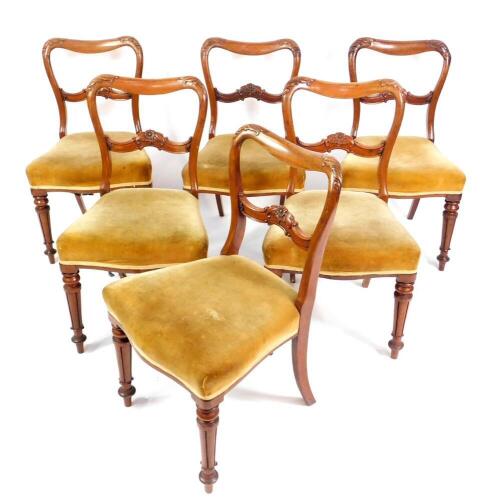 A set of six Victorian mahogany single balloon back dining chairs, with over stuffed seats, raised on fluted and lappet turned legs.