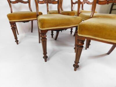 A set of six Victorian mahogany single balloon back dining chairs, with over stuffed seats, raised on fluted and lappet turned legs. - 3