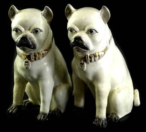 A pair of 19thC Staffordshire pottery pugs, each with a gilt collar, and open toes, (AF), 36cm H.