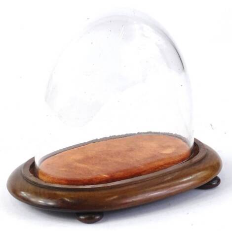 A small glass dome, of arched form, on oval moulded mahogany base, with bun feet, 17cm H overall.