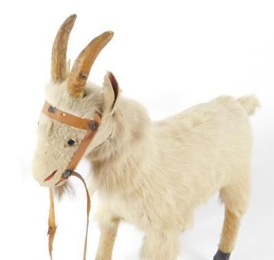 A late 19thC pull-a-long goat, possibly Sonnenberg, with a composition head and body, brown glass eyes and leather straps, raised on four brass castors, the head moves to produce a goat's sound, 43cm W. - 2