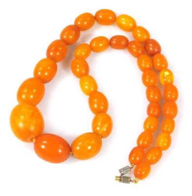 A butterscotch amber beaded necklace, with graduated amber beads on a string necklace, with a silver plated clasp, the largest bead 2.5cm W, the smallest 1cm W, 50cm L overall, 39.6g all in.