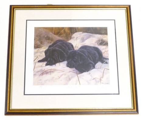 After John Trickett. Side by Side, two Labrador puppies in the snow, artist signed limited edition print, 22cm x 36cm.