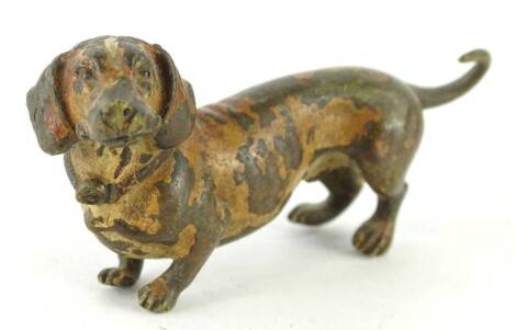 A cold painted bronze model of a dachsund, in the manner of Bergman, 7cm L. (AF)