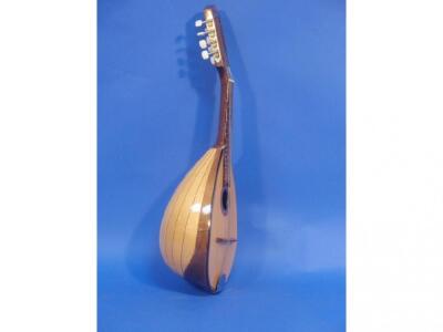 A Tatra Mandolin in soft case - 2