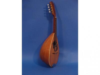 A Weltton Mandolin in soft case - 2