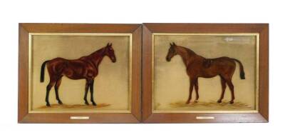 English School (early 20thC). Two equestrian studies of horses, "Dandy" and "Duster", reverse paintings on glass, one monogrammed TBW within a horse shoe dated 1921, 34.5cm H x 46.5cm W.