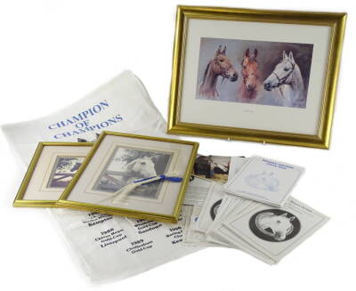 A collection of Desert Orchid racehorse related memorabilia, to include personal letters from the owner, Midge Burridge to the recipient, a section of plaited hair from Desert Orchid with accompanying letter, prints, photographs, a tea towel, other letter