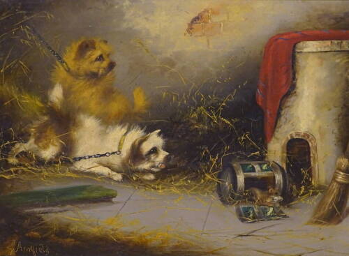 George Armfield (1808-1893). Terriers and mouse, oil on canvas - pair, signed, 29.5cm x 39.5cm.