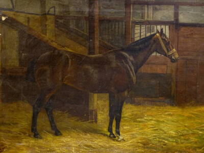 Lily Brown (19thC/20thC). Dark bay horse in stable, oil on canvas, signed, 46cm x 66.5cm.