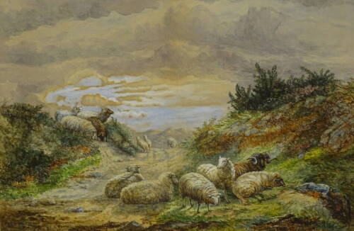 Ellen Vernon (19thC). Sheep on a moorland path, watercolour, signed, 27cm x 38cm.