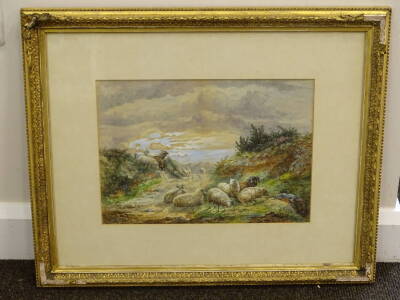 Ellen Vernon (19thC). Sheep on a moorland path, watercolour, signed, 27cm x 38cm. - 2