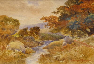 Cunningham Bridgeman (19thC/20thC). Autumn tints in the Llear Valley, N. Wales, watercolour, signed, 15cm x 21.5cm.