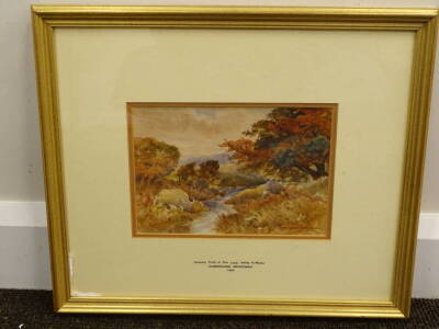 Cunningham Bridgeman (19thC/20thC). Autumn tints in the Llear Valley, N. Wales, watercolour, signed, 15cm x 21.5cm. - 2