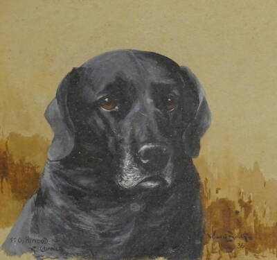 Reuben Ward Binks (1880-1950). Black Labrador, field trial champion, Hinwood Chance, watercolour, signed and dated 1936, 25cm x 24cm. 