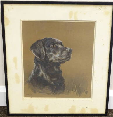 Ita Phobie Rennie (Early 20thC Scottish). Black Labrador, watercolour and pastel, signed, 41cm x 35cm. - 2