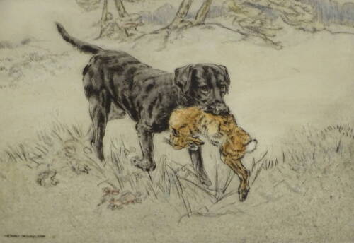 Henry Wilkinson (1921-2011). Etching of a Labrador and a hare, signed in pencil and numbered 65/45, 22cm x 29cm.